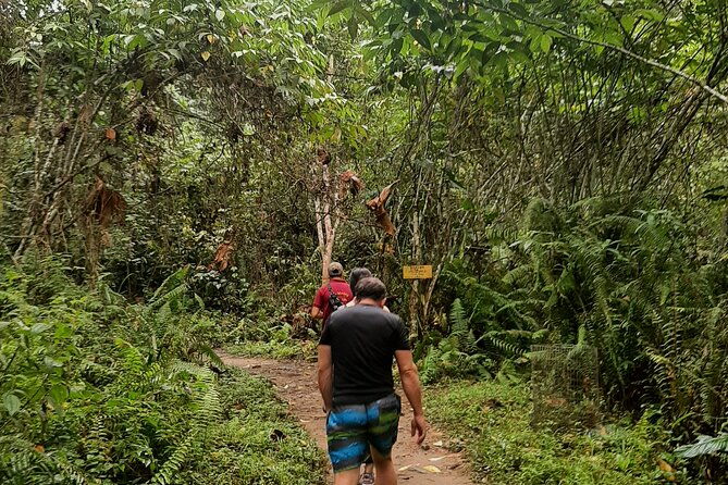 full-day-manuels-waterfalls-from-guayaquil