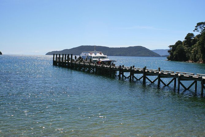 Full-Day Marlborough Catamaran Cruise with Wine Tour and Lunch - A Complete Look at the Full-Day Marlborough Catamaran Cruise with Wine Tour and Lunch
