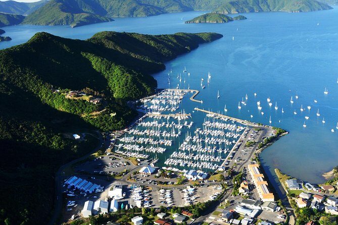 Full-Day Marlborough Scenic and Wine Tour from Blenheim - Why This Tour Is a Great Choice
