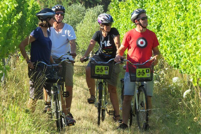 Full-Day Marlborough Wine Region Bike Hire - An In-Depth Look at the Marlborough Wine Region Bike Tour