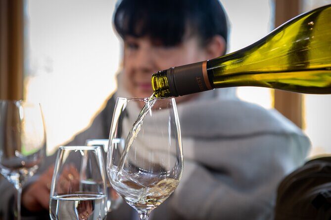Full-Day Marlborough Wine Tour Including Wine Tasting - What Reviewers Say