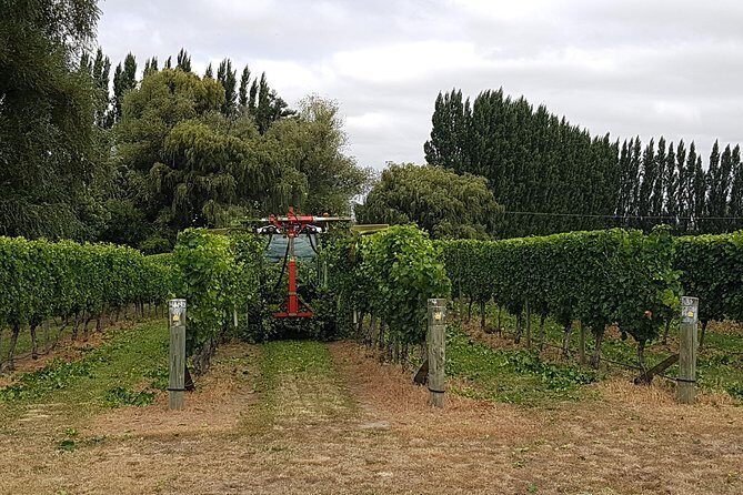 Full-Day Marlborough Wine Tour Including Wine Tasting - Who Will Love This Tour?