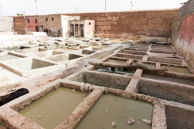 Full Day Marrakech Tour - Who Would Love This Tour?