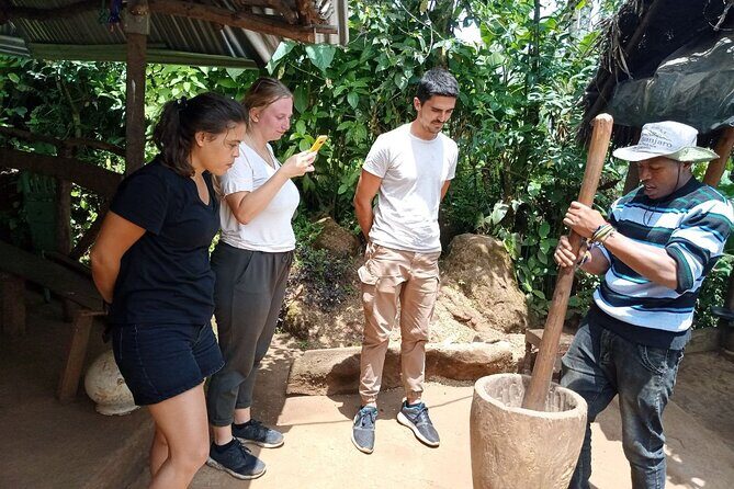 Full Day Materuni Water Falls, Hiking and Coffee Making Tour in Moshi - Key Points