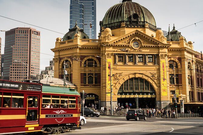 Full-day Melbourne City Sightseeing with Penguin Parade - Who Will Appreciate This Tour?
