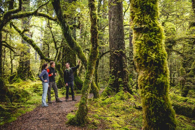 Full-Day Milford Sound Tour with Cruise and Walks from Te Anau - The Experience in Detail