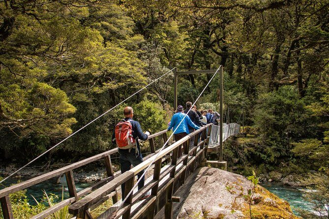 Full-Day Milford Sound Tour with Cruise and Walks from Te Anau - Final Thoughts