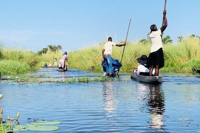 Full-Day Mokoro Experience in the Okavango Delta - Who Would Love This Tour?