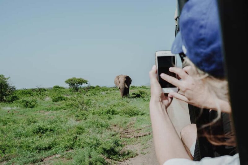 Full Day Moremi Safari Experience from Maun - Key Points