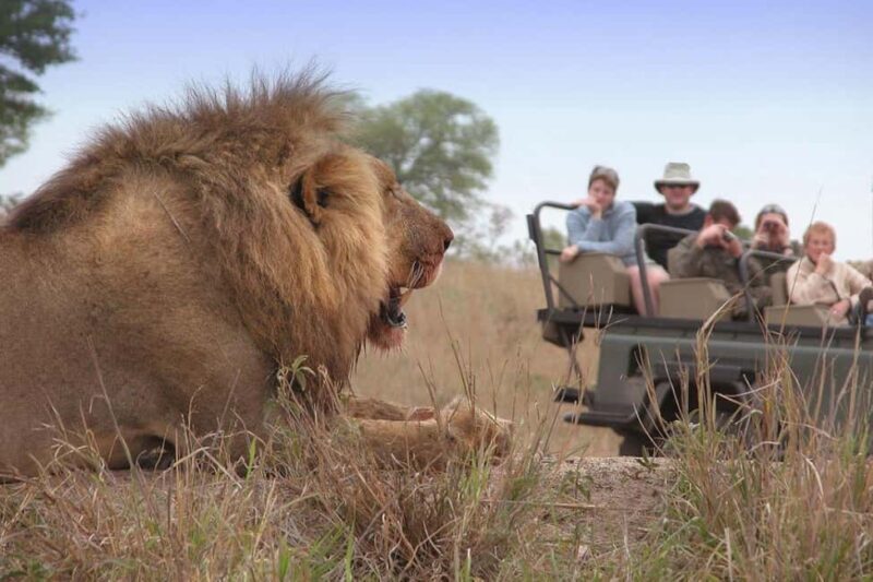 Full Day Moremi Safari Experience from Maun - The Experience Itself: What to Expect