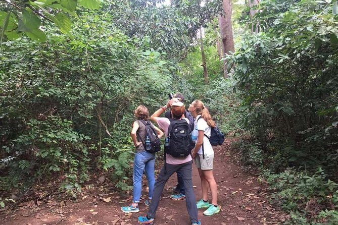 Full-Day Moshi Private Forest Walk and Local Market Tour - The Coffee Region: Savoring Tanzania’s Brew