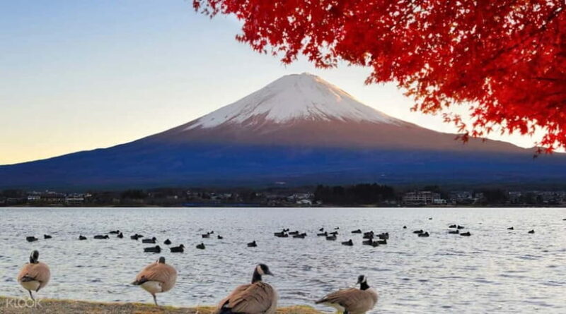Full day Mount Fuji: Tour with an English speaking Guide - Key Points