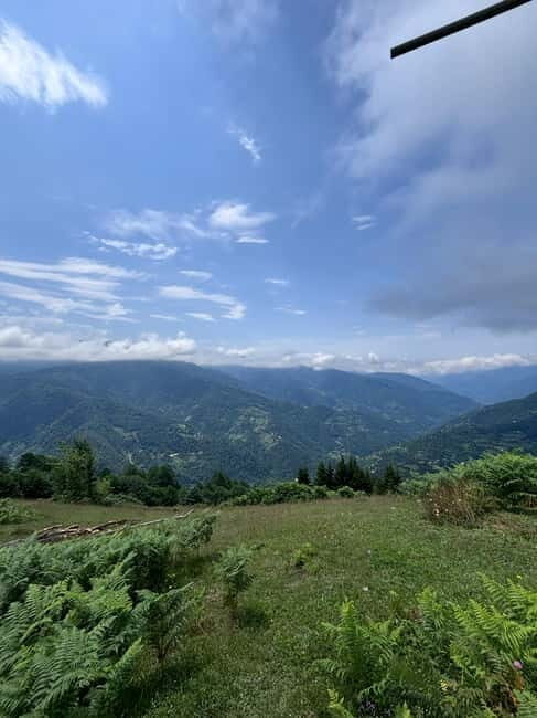 Full Day Mountine Tours from Batumi - The Activity Mix: Adventure and Relaxation