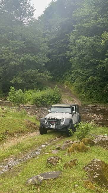 Full Day Mountine Tours from Batumi - The Experience: What Real Travelers Say