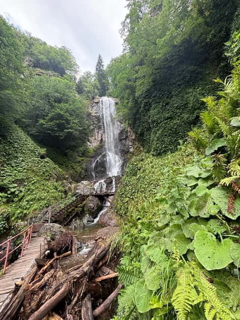 Full Day Mountine Tours from Batumi - In-Depth Breakdown of the Day