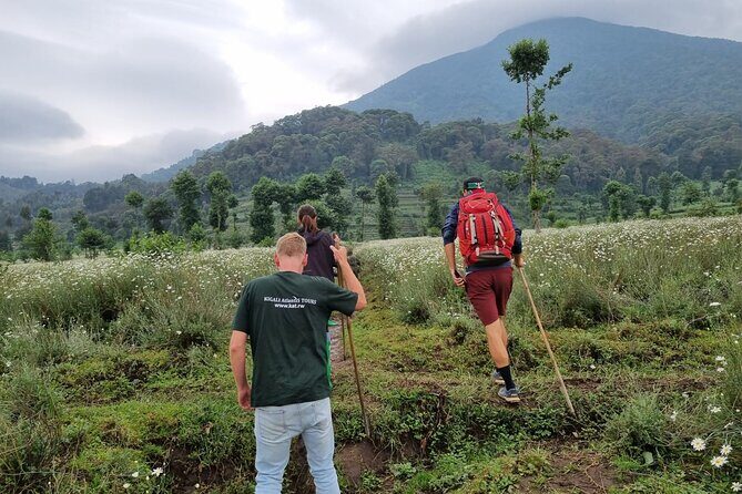 Full day Mt. Bisoke hike - Key Points