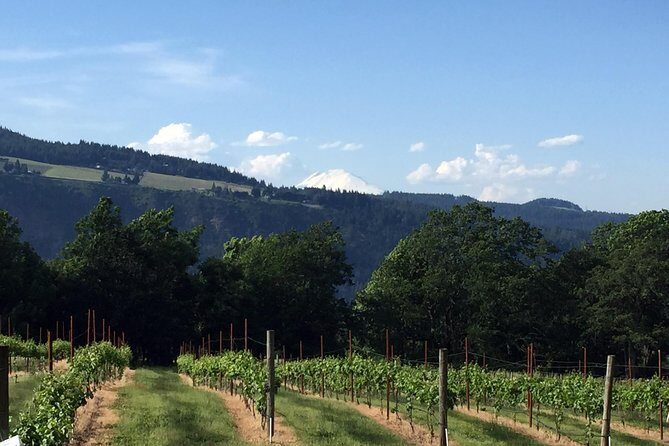 Full-Day Mt Hood Waterfall Tour with Lunch and Wine Included - FAQ