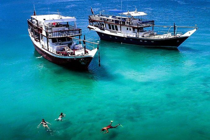 Full-Day Mussandam Cruise with Lunch Dibba - Key Points
