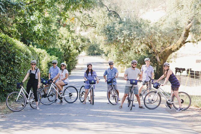 Full-Day Napa Valley E-Bike Tour with Picnic Lunch - Who Will Love This Tour?