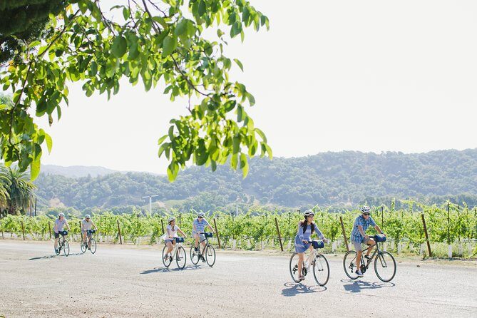 Full-Day Napa Valley E-Bike Tour with Picnic Lunch - Who Should Book This Tour?