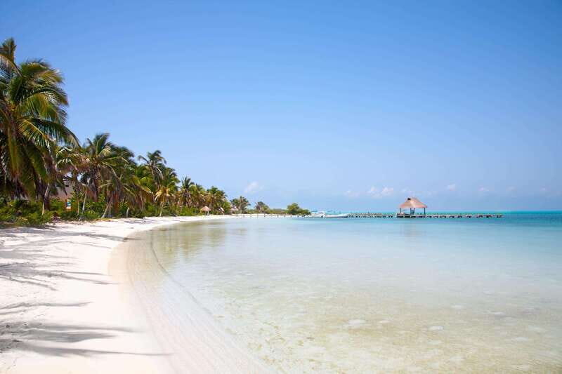 Full Day Nature Expedition to Contoy Island and Isla Mujeres - Introduction: A Day Out in Quintana Roo’s Natural Gems