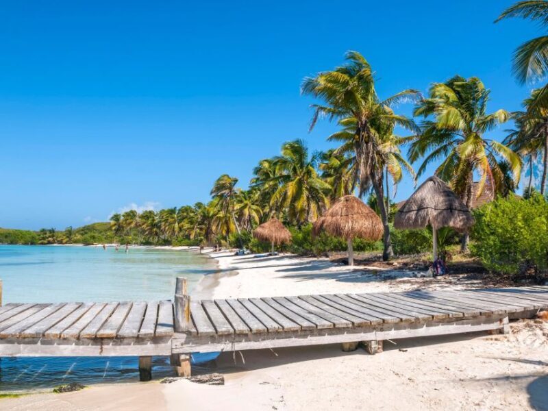 Full Day Nature Expedition to Contoy Island and Isla Mujeres - The Experience Guide: What Reviews Reveal