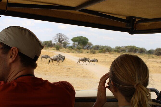 Full-Day Ngorongoro Crater private tour - A Closer Look at the Full-Day Ngorongoro Crater Tour