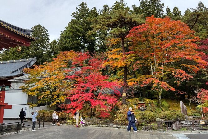full-day-nikko-private-tour-with-certified-japanese-guide
