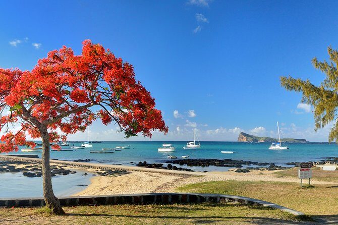 Full Day North Private Guided Tour Mauritius: including lunch - What to Expect from the Experience