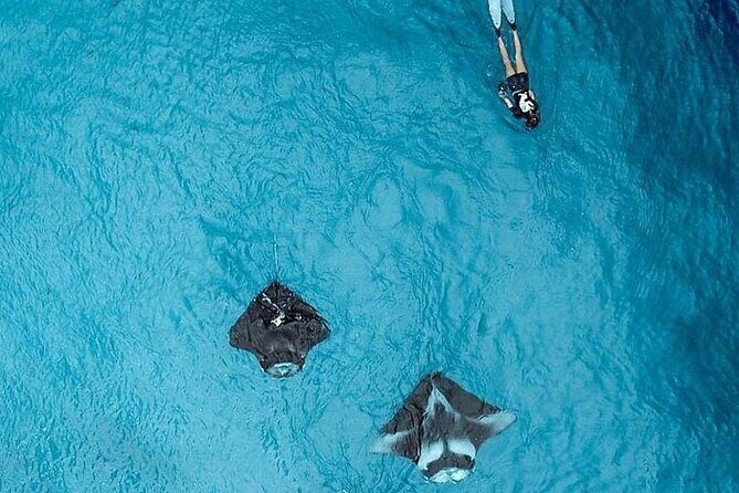 Full Day Nusa Penida Manta Point Snorkeling and West Island Tour - Frequently Asked Questions