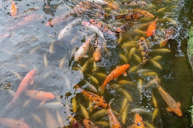 Full Day Oahu Tour with Byodo Temple & Waimea Waterfalls - FAQ
