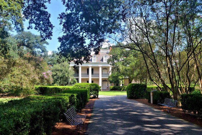 full-day-oak-alley-plantation-large-airboat-swamp-w-transfer