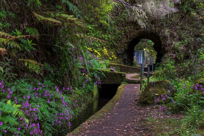 full-day-of-wonders-madeira-4x4-private-tour