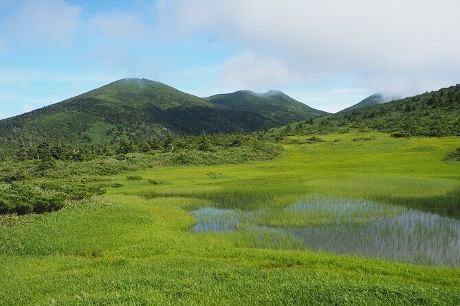Full day Oirase Stream and Lake Towada Tour - Who Will Love This Tour?