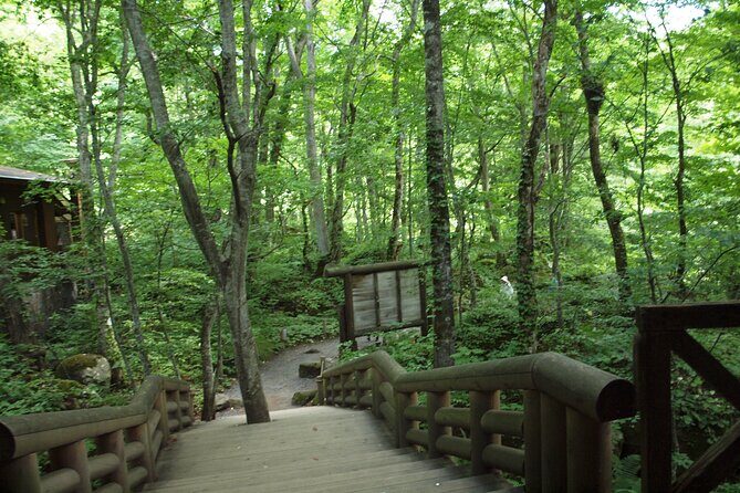 Full day Oirase Stream and Lake Towada Tour - The Sum Up