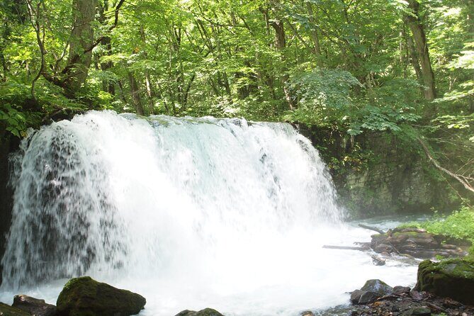 Full day Oirase Stream and Lake Towada Tour - FAQ
