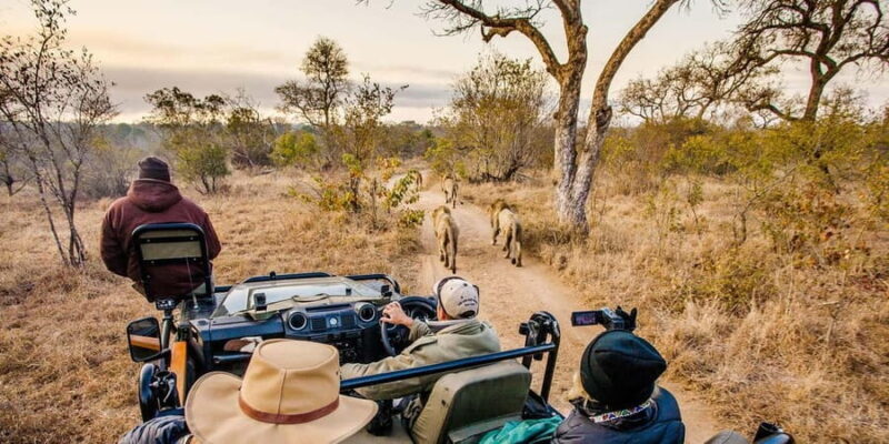 Full Day Okavango Mokoro Tour - Key Points