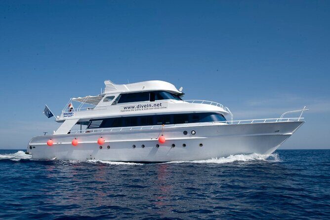 Full Day on Boat with 2 Dives in the Marine Parks of Sharm - Itinerary Breakdown: What to Expect