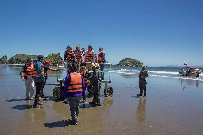 full-day-on-chiloe-island-visiting-penguins-in-punihuil