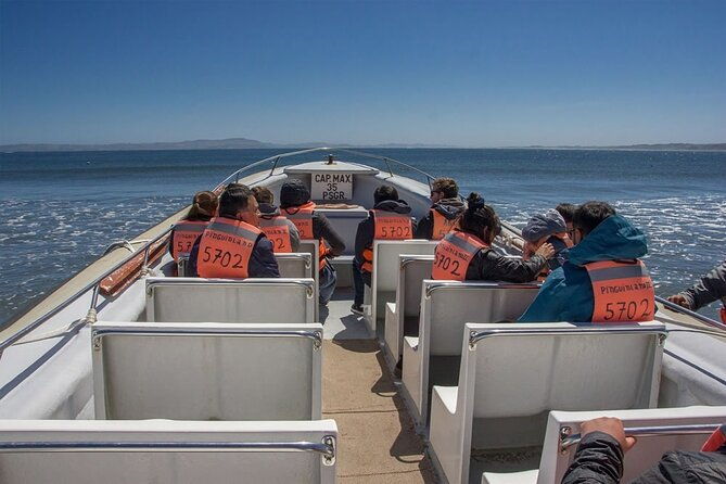 full-day-on-chiloe-island-visiting-penguins-in-punihuil
