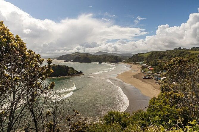 full-day-on-chiloe-island-visiting-penguins-in-punihuil