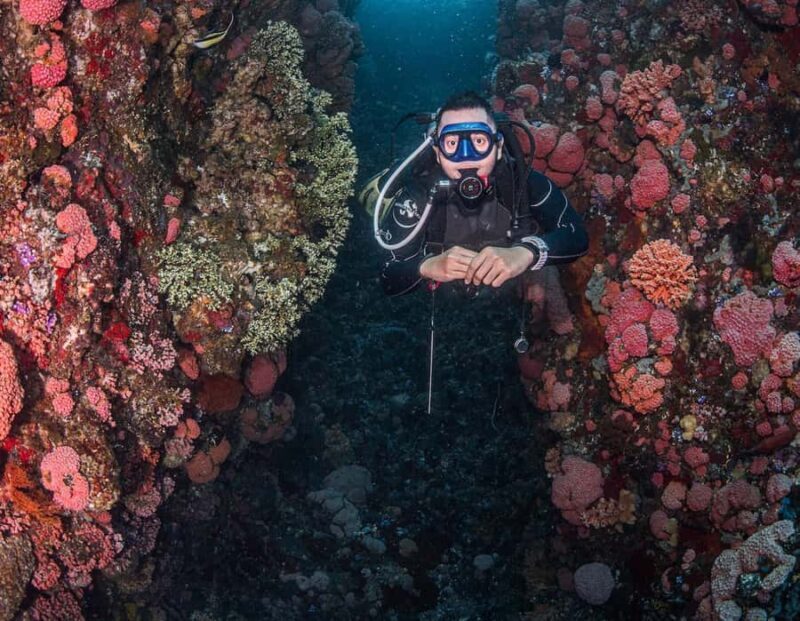 Full-Day Open Trip Diving in Komodo for Certified Divers - Who Is This Tour Best For?