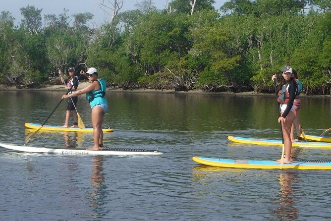 full-day-paddle-board-rental-in-naples-florida