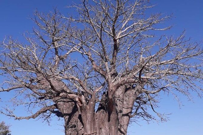 Full Day Panorama Hike and Scenic Tour minimum 2 people - FAQ