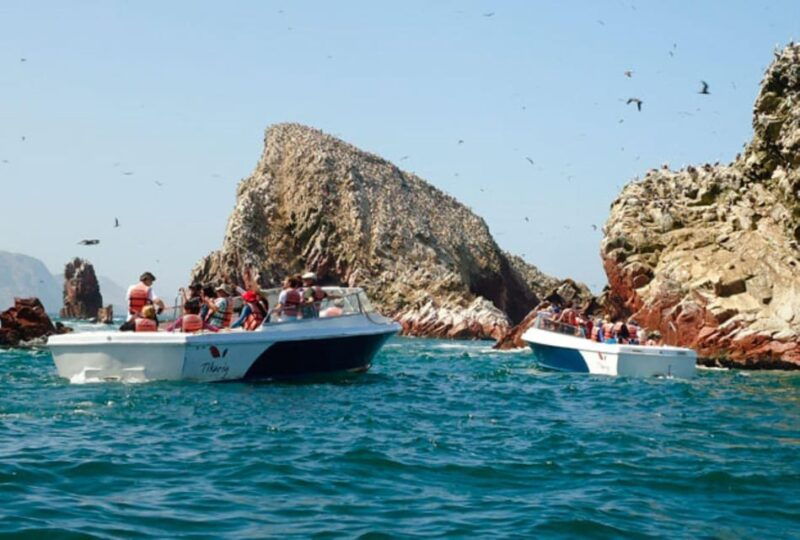 full-day-paracas-and-ballestas-islands