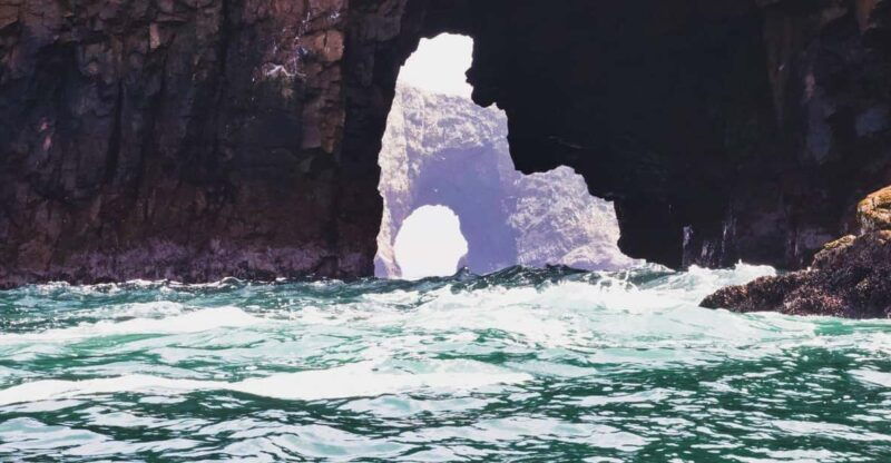 full-day-paracas-and-ballestas-islands