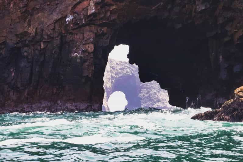 full-day-paracas-and-ballestas-islands