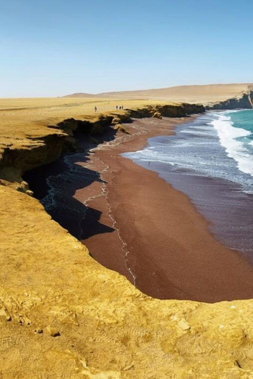 full-day-paracas-and-ballestas-islands