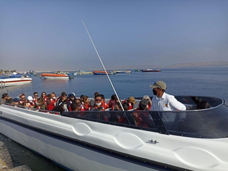 full-day-paracas-ica-huacachina