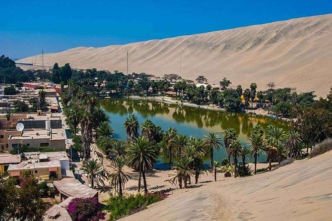 full-day-paracas-ica-oasis-huacachina